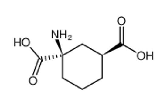 Picture of 1,3-Cyclohexanedicarboxylicacid,1-amino-,(1R-trans)-(9CI)