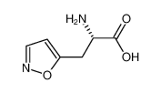 Picture of 5-Isoxazolepropanoicacid,α-amino-,(S)-(9CI)