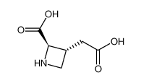 Picture of 3-Azetidineaceticacid,2-carboxy-,(2R-trans)-(9CI)