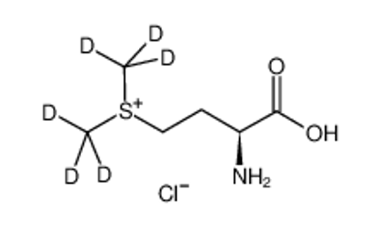 Picture of L-Methionine-S-methyl Sulfonium Chloride-d6