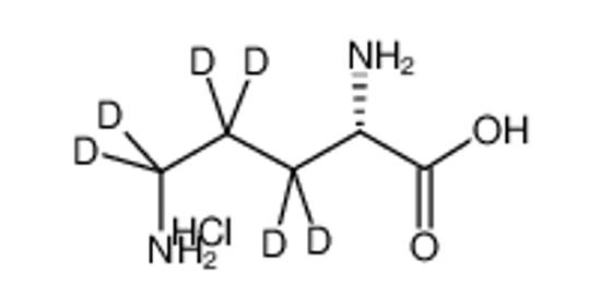 Picture of L-Ornithine-d6 Hydrochloride