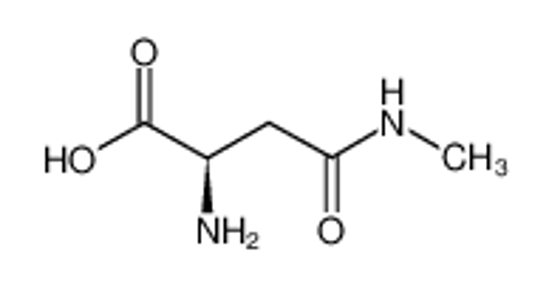 Picture of N4-methyl-L-asparagine