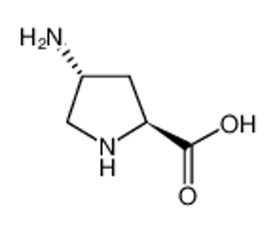 Изображение (2S,4R)-4-aminopyrrolidine-2-carboxylic acid