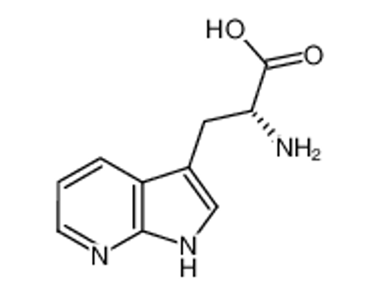 Picture of (2R)-2-amino-3-(1H-pyrrolo[2,3-b]pyridin-3-yl)propanoic acid