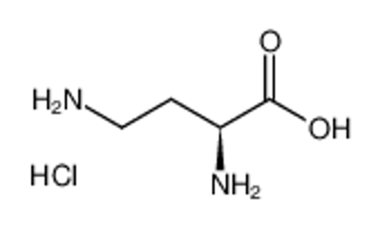Picture of (2S)-2,4-diaminobutanoic acid,hydrochloride