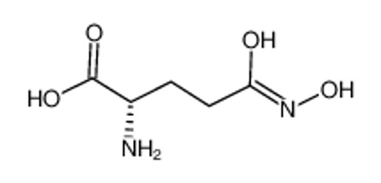 Picture of glutamine hydroxamate