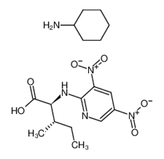 Picture of DNPYR-L-ISOLEUCINE MONOCYCLOHEXYL AMMONI UM