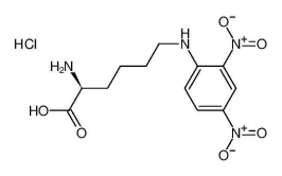 Picture of N-ε-2,4-DNP-L-LYSINE HYDROCHLORIDE