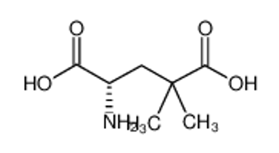 Picture of (4S)-4-amino-2,2-dimethylpentanedioic acid