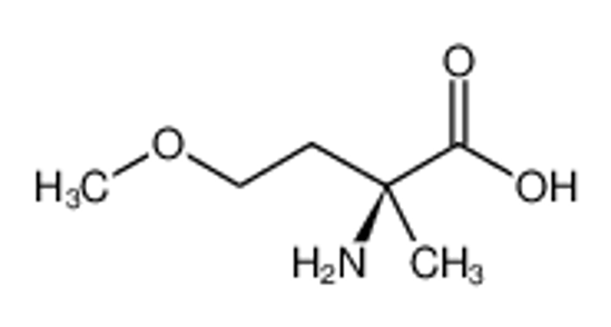 Imagem de 2-AMINO-2-METHYL-4-METHOXY-BUTYRIC ACID