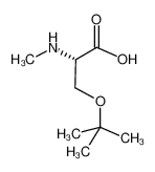 Picture of (2S)-2-(methylamino)-3-[(2-methylpropan-2-yl)oxy]propanoic acid