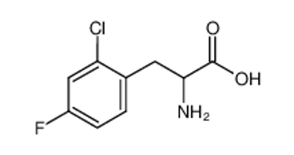 Show details for 2-CHLORO-4-FLUORO-DL-PHENYLALANINE