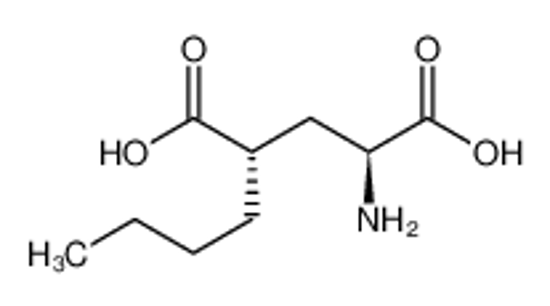 Picture of (2S,4S)-2-amino-4-butylpentanedioic acid