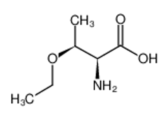 Picture of (2S,3S)-2-Amino-3-ethoxybutanoic acid