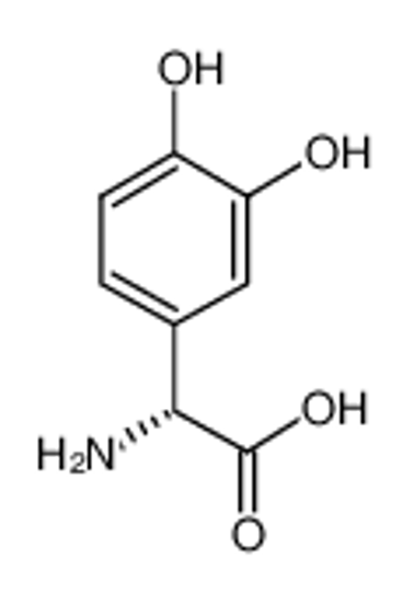 Picture of D-(3,4-DIHYDROXY) A-PHENYLGLYCINE