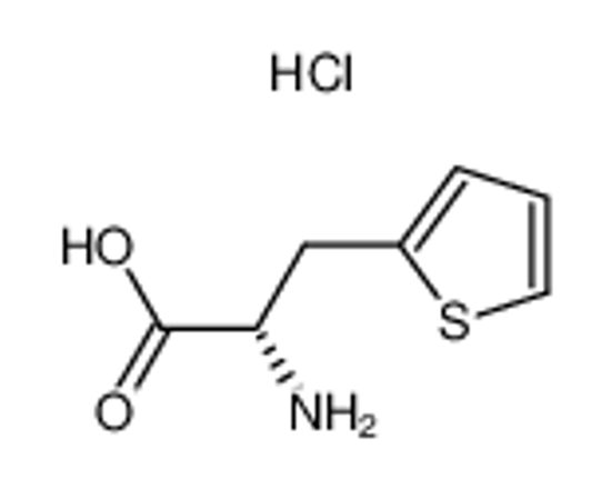 Picture of (2S)-2-amino-3-thiophen-2-ylpropanoic acid,hydrochloride