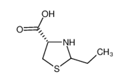 Изображение (4S)-2-ethyl-1,3-thiazolidine-4-carboxylic acid