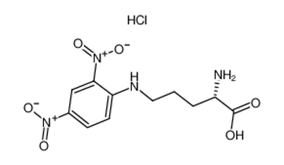 Show details for 2-amino-5-(2,4-dinitroanilino)pentanoic acid,hydrochloride