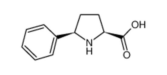 Picture of (2S,5R)-5-PHENYLPYRROLIDINE-2-CARBOXYLIC ACID