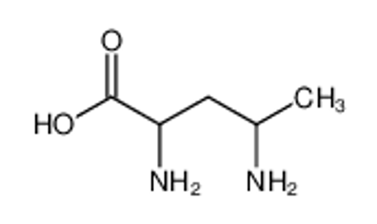Picture of 2,4-diaminopentanoic acid