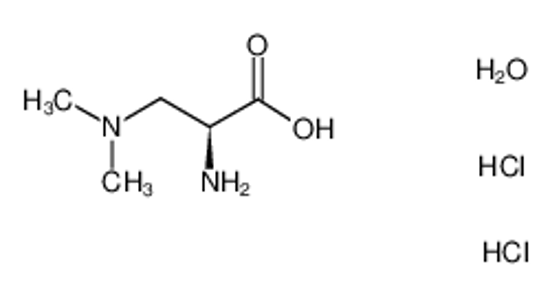 Picture of (2S)-2-amino-3-(dimethylamino)propanoic acid,dihydrochloride