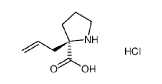Picture of (R)-α-Allyl-proline hydrochloride