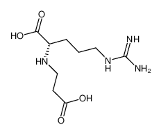 Picture of (2S)-2-[[(1S)-1-carboxyethyl]amino]-5-(diaminomethylideneamino)pentanoic acid