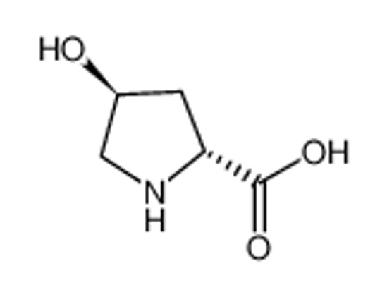Изображение TRANS-4-HYDROXY-D-PROLINE