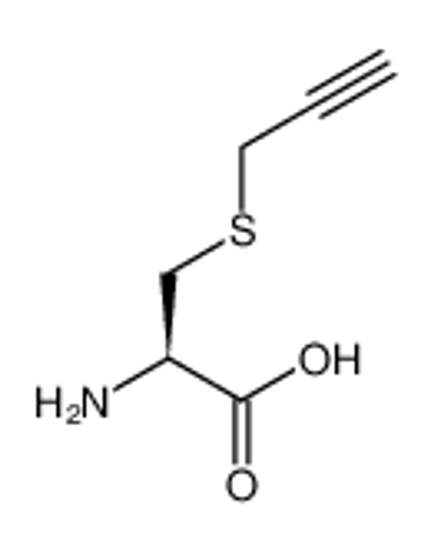 Imagem de (2R)-2-amino-3-prop-2-ynylsulfanylpropanoic acid