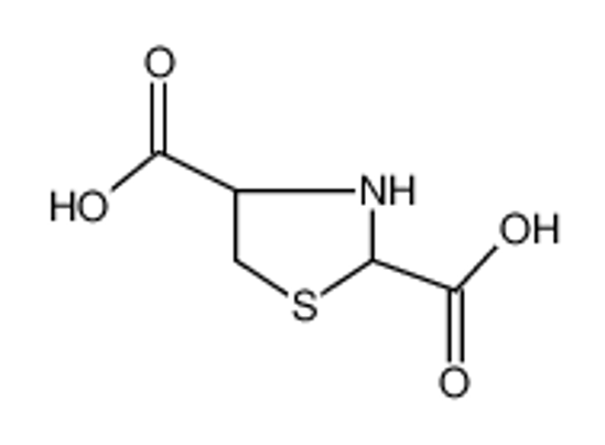 Изображение THIAZOLIDINE-2,4-DICARBOXYLIC ACID