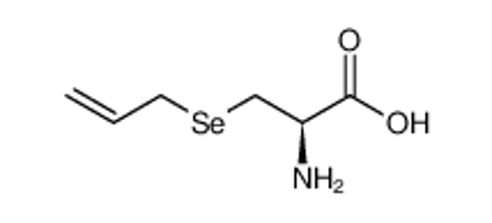 Imagem de (2R)-2-amino-3-prop-2-enylselanylpropanoic acid
