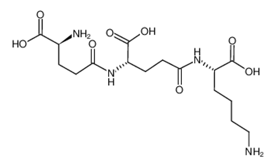 Изображение H-Glu(Glu(Lys-OH)-OH)-OH