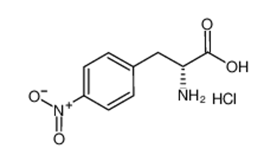 Picture of (2R)-2-amino-3-(4-nitrophenyl)propanoic acid,hydrochloride
