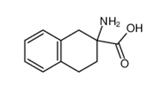 Picture of 2-amino-3,4-dihydro-1H-naphthalene-2-carboxylic acid