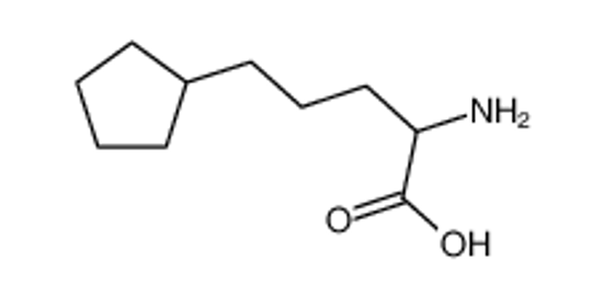 Изображение (2S)-2-amino-5-cyclopentylpentanoic acid