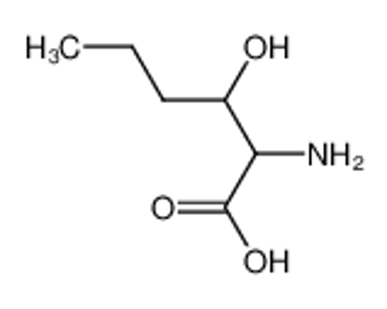 Изображение 2-amino-3-hydroxyhexanoic acid