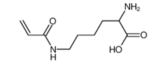 Picture of 2-amino-6-(prop-2-enoylamino)hexanoic acid