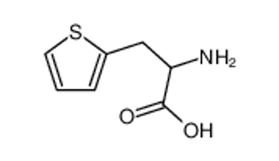 Picture of .β.-2-Thienylalanine