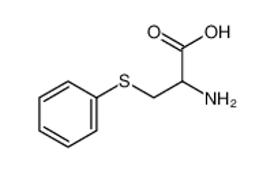 Picture of 2-amino-3-phenylsulfanylpropanoic acid