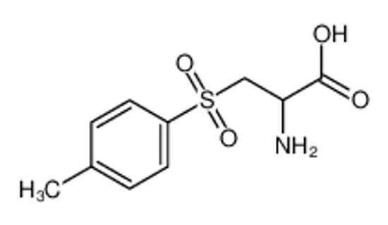 Изображение 2-amino-3-(4-methylphenyl)sulfonylpropanoic acid