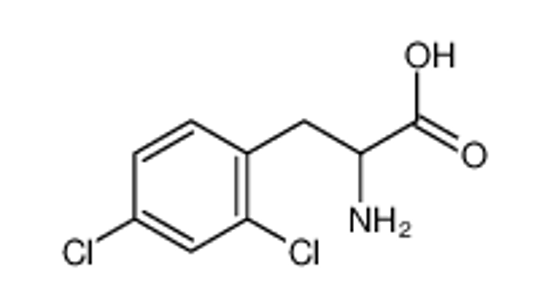 Picture of 2-amino-3-(2,4-dichlorophenyl)propanoic acid