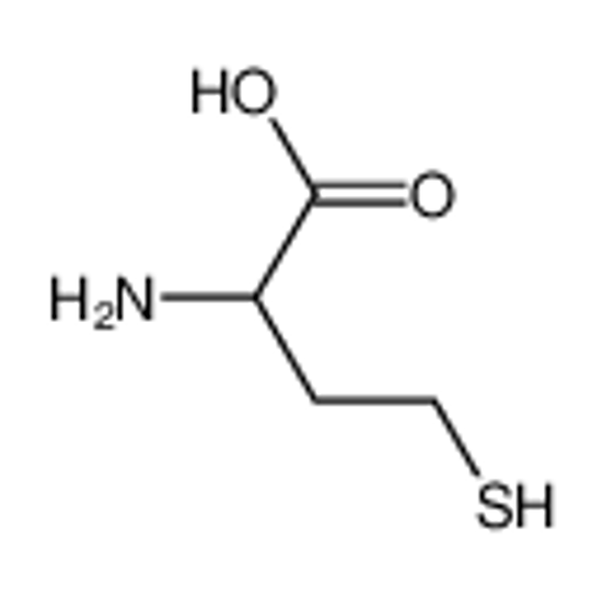 Picture of Homocysteine