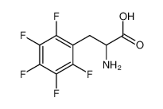 Picture of 2-amino-3-(2,3,4,5,6-pentafluorophenyl)propanoic acid