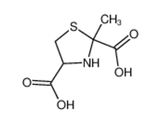 Изображение 2-methyl-1,3-thiazolidine-2,4-dicarboxylic acid