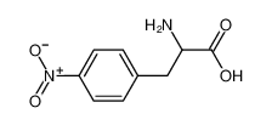 Picture of 4-nitrophenylalanine