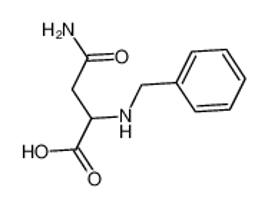 Изображение 4-amino-2-(benzylamino)-4-oxobutanoic acid