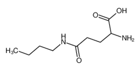 Picture of L-Glutaminsaeure-5-butylamid