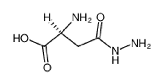 Picture of 2-amino-4-hydrazinyl-4-oxobutanoic acid