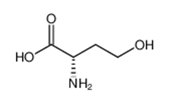 Picture of L-homoserine