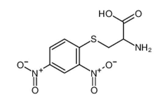 Picture of (2R)-2-amino-3-(2,4-dinitrophenyl)sulfanylpropanoic acid